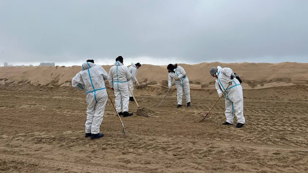 photo_2025-02-03144826